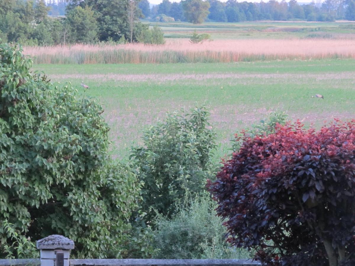 Apartment Zum Wiesengrund Im Oderbruch *