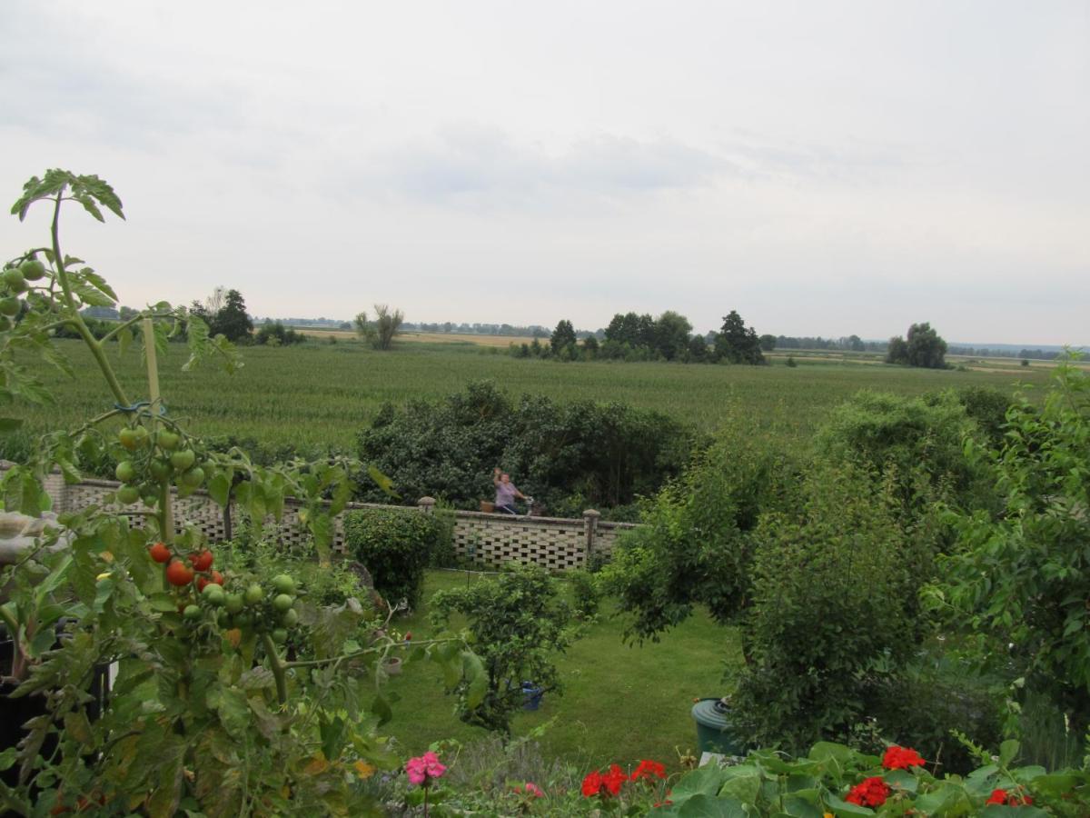 Zum Wiesengrund Im Oderbruch *